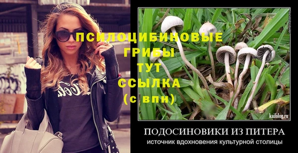 винт Вяземский