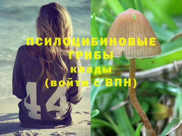 гашик Осташков