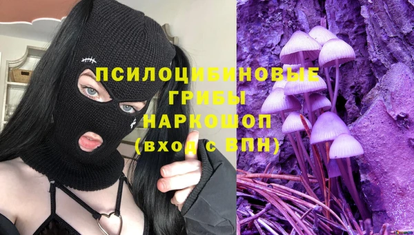 дурь Алзамай